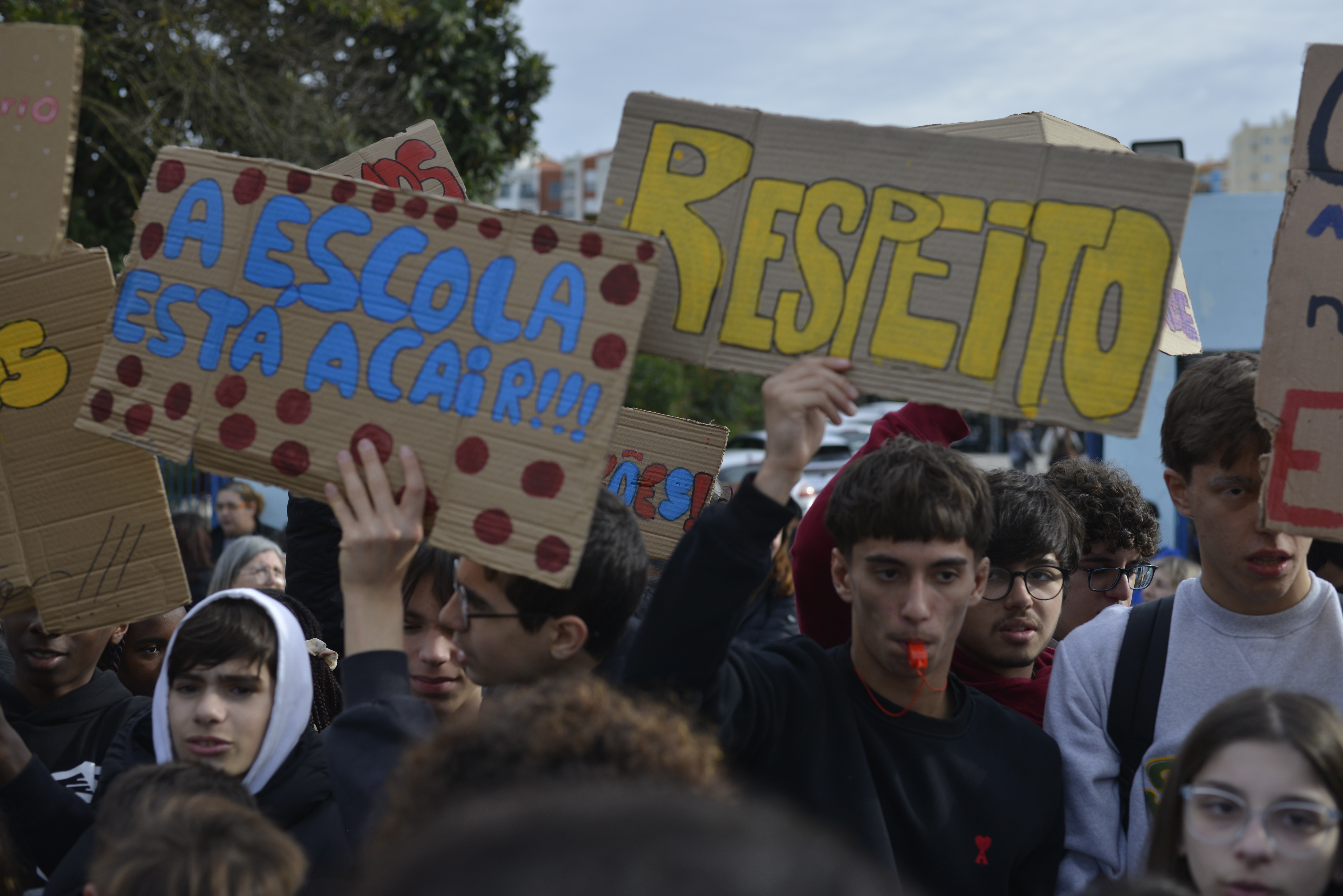 Ensino Básico e Secundário